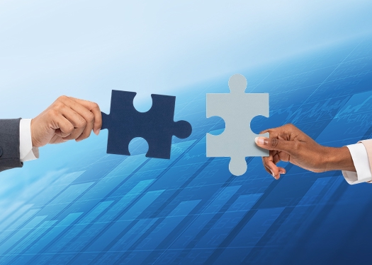 Strategic Partners